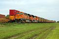 BNSF 5831 at Watts